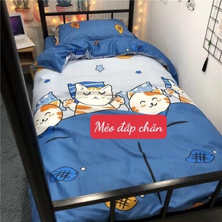 (xả kho) Sài gòn Bộ drap ga gối poly 1m4