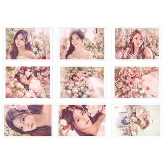 [Ép Lụa] Lomo Card 27 Ảnh TWICE - TWICELAND ZONE 2