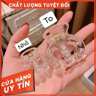 Kẹp càng cua Thái Lan TO - Rất chắc chắn