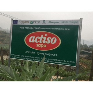 Cao Actiso TraphacoSapa