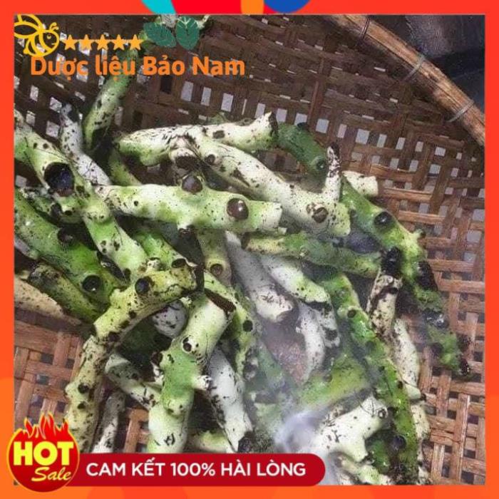 Tắc Kè Đá  tươi Tây Bắc 1kg