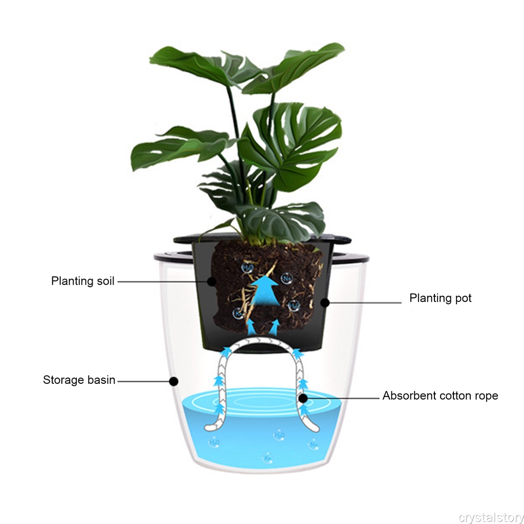 Cuộn dây bấc tưới nước tự động dài 10m