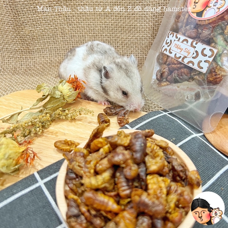 Nhộng sấy bổ dưỡng dành cho Hamster