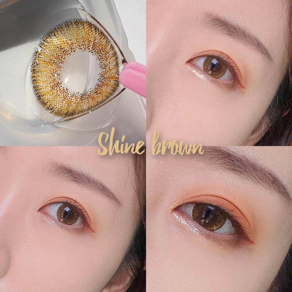 Kính áp tròng 1 ngày Shine Brown ANN365, lens cận màu nâu sáng cao cấp dùng thoải mái suốt 24H