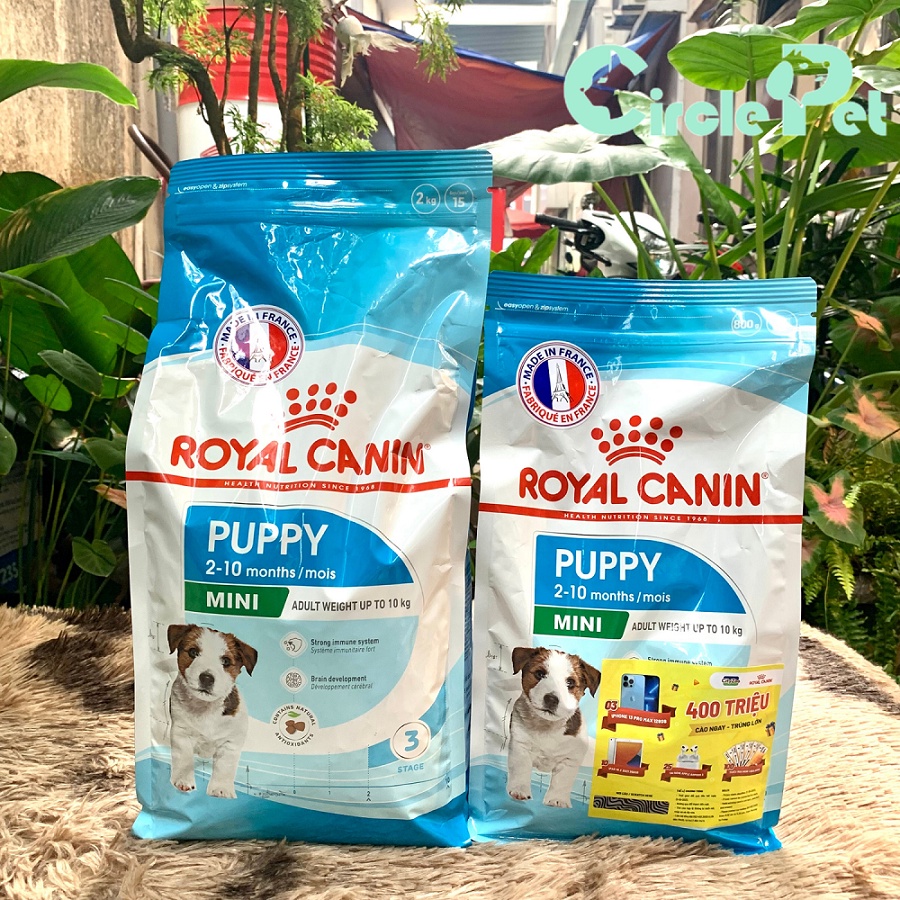 Thức Ăn Cho Chó Con Royal Canin Mini Puppy Giúp Tăng Cường Hệ Tiêu Hóa - Circle Pet