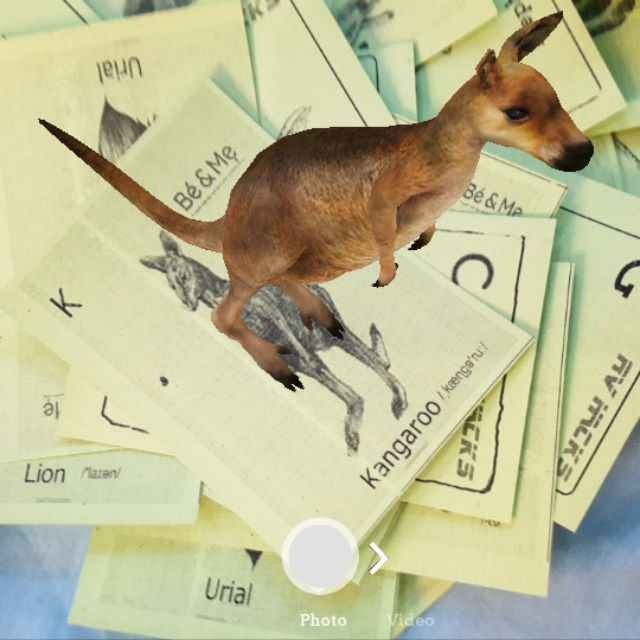 Bộ 31 thẻ ảnh animal 4d (chất liệu bìa giấy A4)