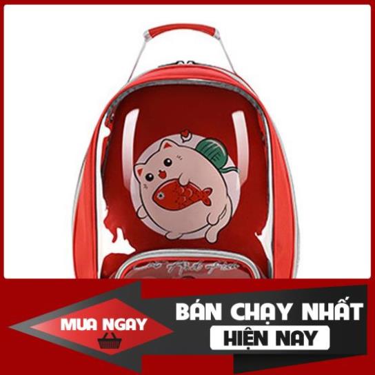 Balo Phi Hành Gia Vận Chuyển Thú Cưng Chó Mèo Kèm Thảm Lót Hàng Đẹp