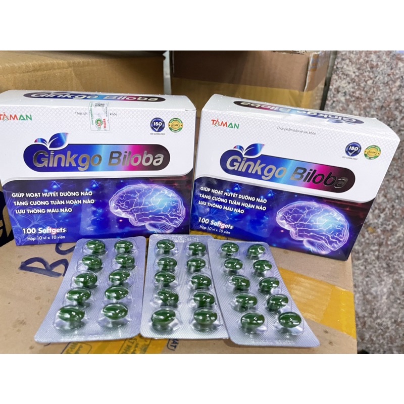 GINKGO BILOBA 360_ TĂNG CƯỜNG HỆ TUẦN HOÀN MÁU NÃO