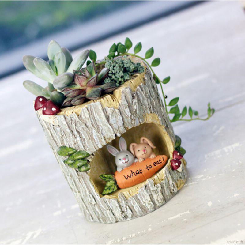 Mô hình chậu cây sương rồng sáng tạo ((no include plant)