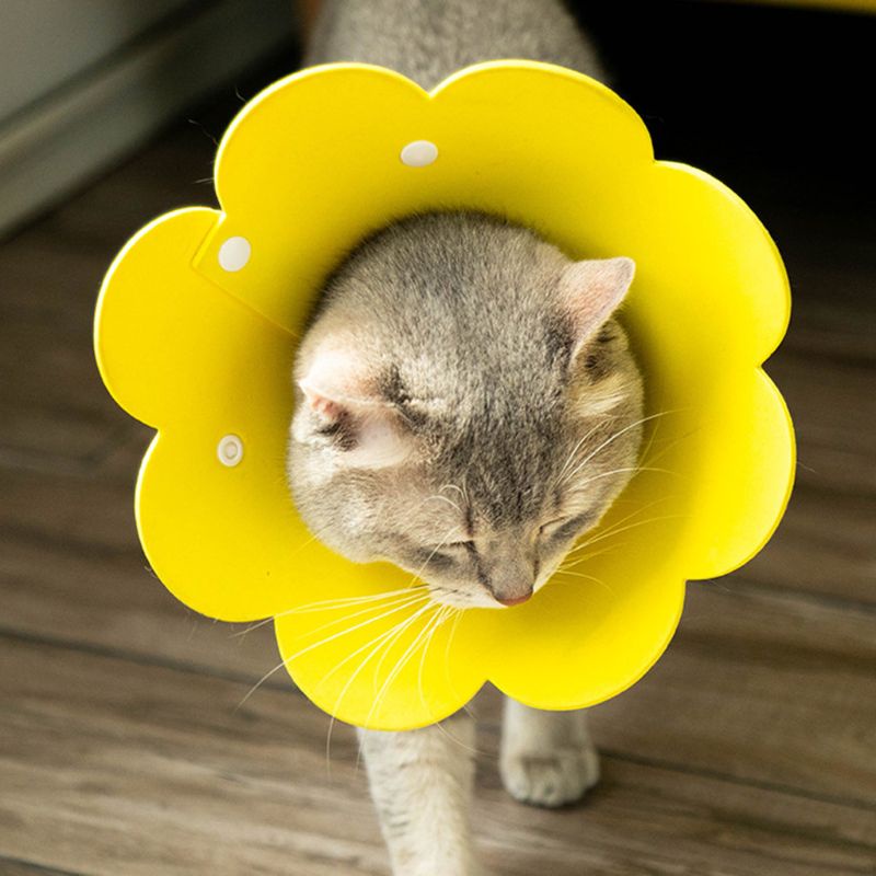 Vòng cổ bảo vệ chống bị thương dành cho thú cưng