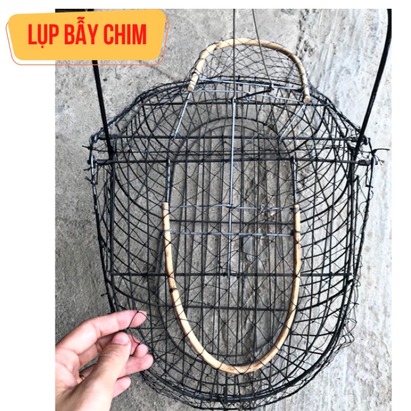 .Lụp Kẽm Đen Bẫy Choè Than Chào Mào Bông Lau Lồng Bẫy chim Các Loại