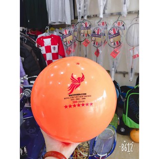 bóng chuyền hơi Phượng Hoàng 300g chính hãng