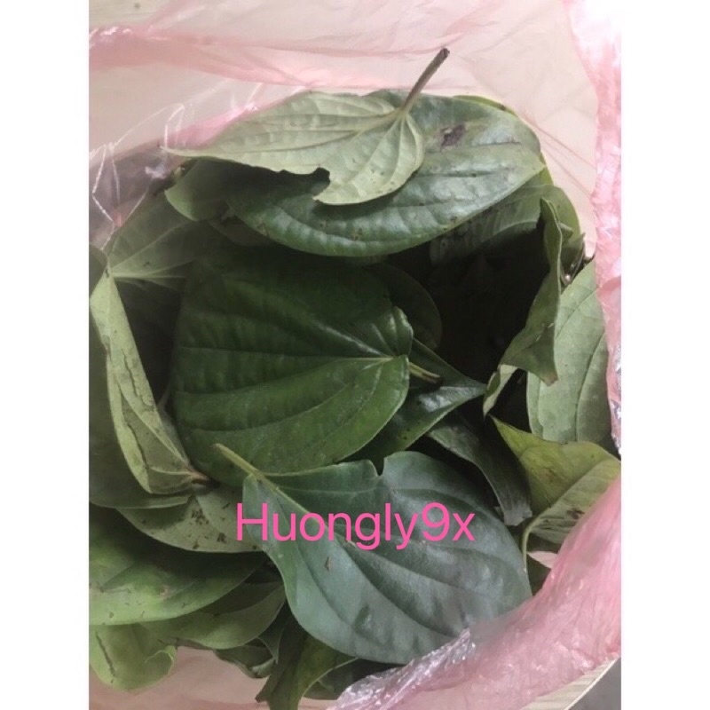 Lá trầu không tươi nhà trồng- Ship hoả tốc Hà Nội