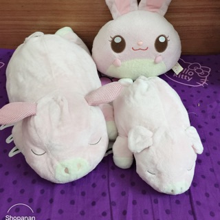 Set gấu c quỳnh như