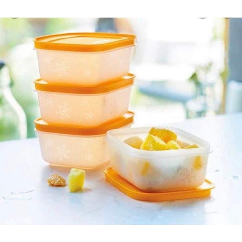 Bộ hộp trữ đông dẻo Gen II Tupperware