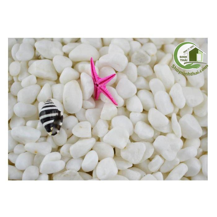 1kg đá sỏi màu trắng lớn - đá  trang trí trồng cây - trang trí bể cá - sân vườn