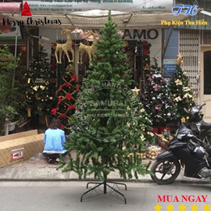 ( Hỏa tốc, Grap HCM ) Cây thông noel 2m4 3m 3m6  trang trí giáng sinh cho phòng khách, kèm dây kim tuyến và ngôi sao