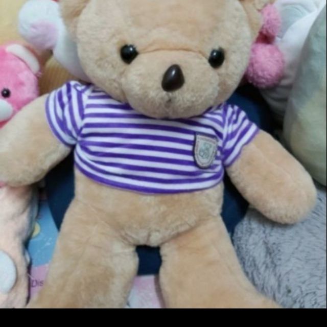 Gấu bông teddy
