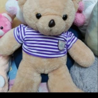 Gấu bông teddy