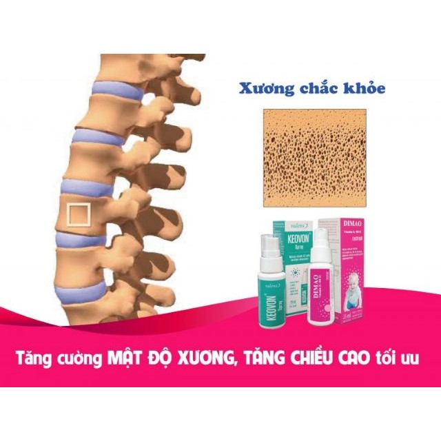 Keovon Spray Vitamin K2 (MK7 tự nhiên) Dạng Xịt - Kích thích tăng chiều cao cho trẻ em. Chính hãng.