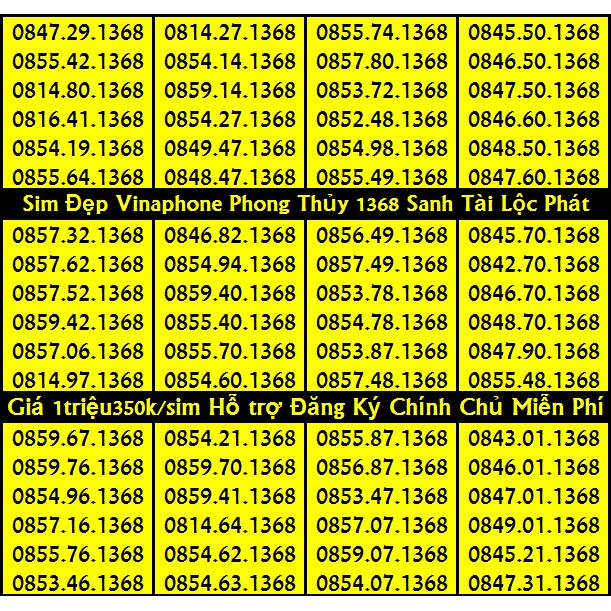 Sim Đẹp VINA Phong thủy 1368 ĐỒNG GIÁ 1 triệu 350k HỖ TRỢ ĐĂNG KÝ CHÍNH CHỦ