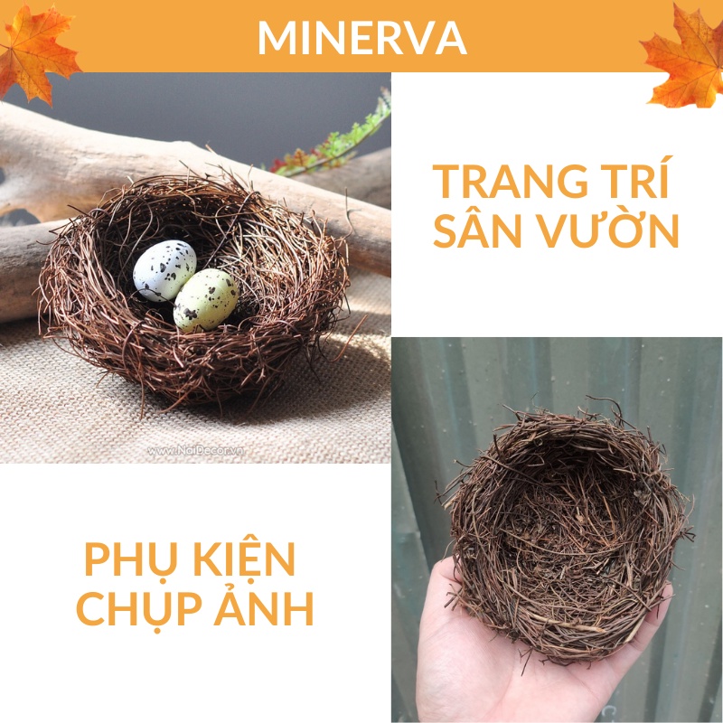 Tổ chim trang trí decor nhà cửa, tổ chim mini làm chậu trồng sen đá, chậu treo, phụ kiện chụp ảnh