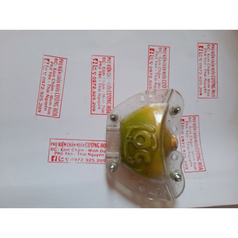 Khuôn cho  cam .ổi. bưởi  loại tốt