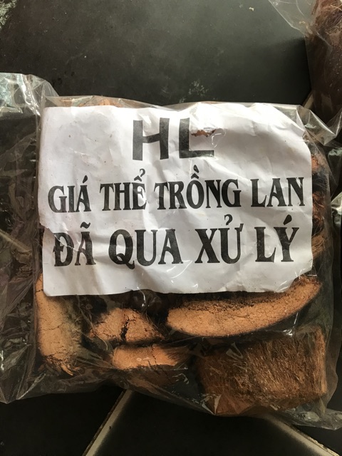 SƠ DỪA MIẾNG TO - GIÁ THỂ TRỒNG LAN.