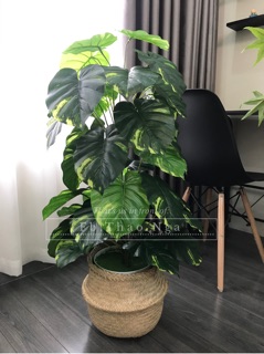 Cây trầu bà giả 1m