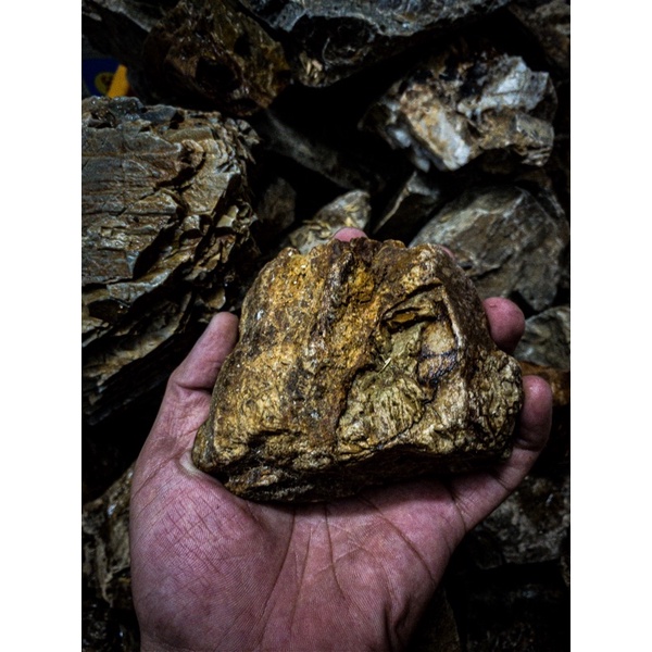 Đá Trầm Suối | Trang Trí Setup Bể Thủy Sinh, Biotope, Blackwater,.... | Mua nhiều giá tốt