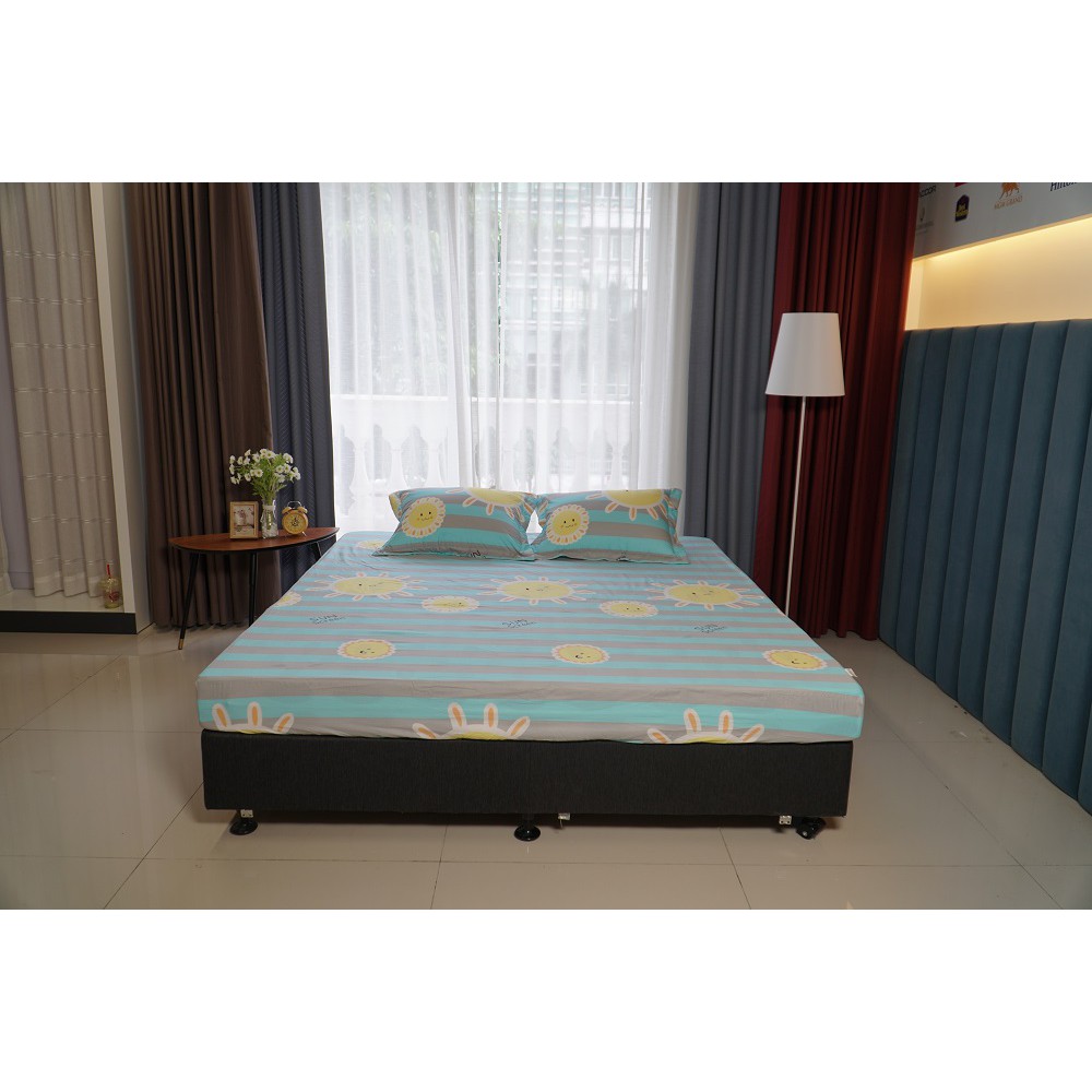 Bộ ga chun Everon MD (mẫu mới) | BigBuy360 - bigbuy360.vn