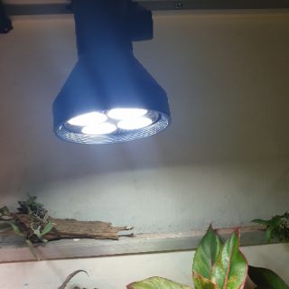 [Đèn rọi ray 20w] đèn rọi bán cạn cho cây phát triển