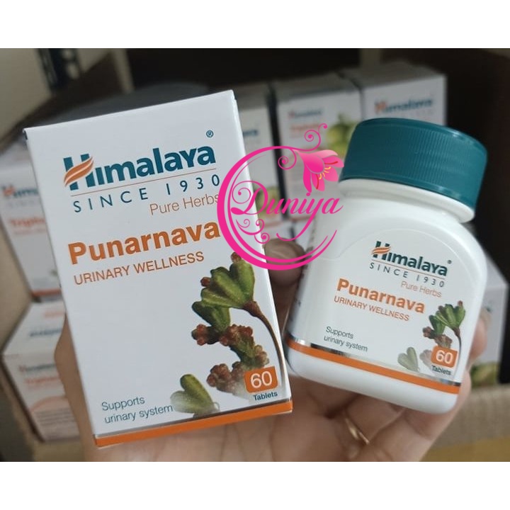 Himalaya Punarnava - Viên uống hỗ trợ đường tiết niệu