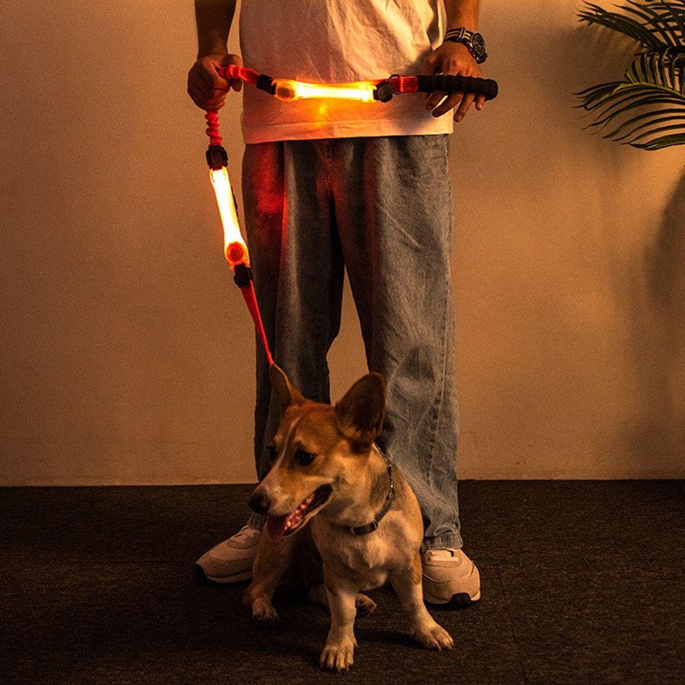 LLOYD Vòng Đeo Cổ Chống Thất Lạc Tránh Thất Lạc Có Thể Điều Chỉnh Màu Dạ Quang Cho Thú Cưng