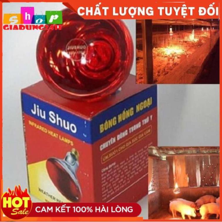 Combo 10 bóng úm bóng sưởi bóng hồng ngoại sưởi ấm gia súc gia cầm vật nuôi 100w,150w,175w,200w,250w-Giadung24h