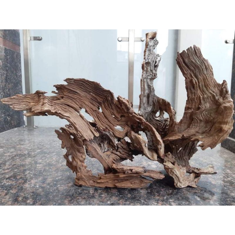 Lũa San Đá miếng - Vân lũa đẹp