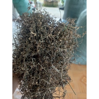 bạch hoa xà thiệt thảo