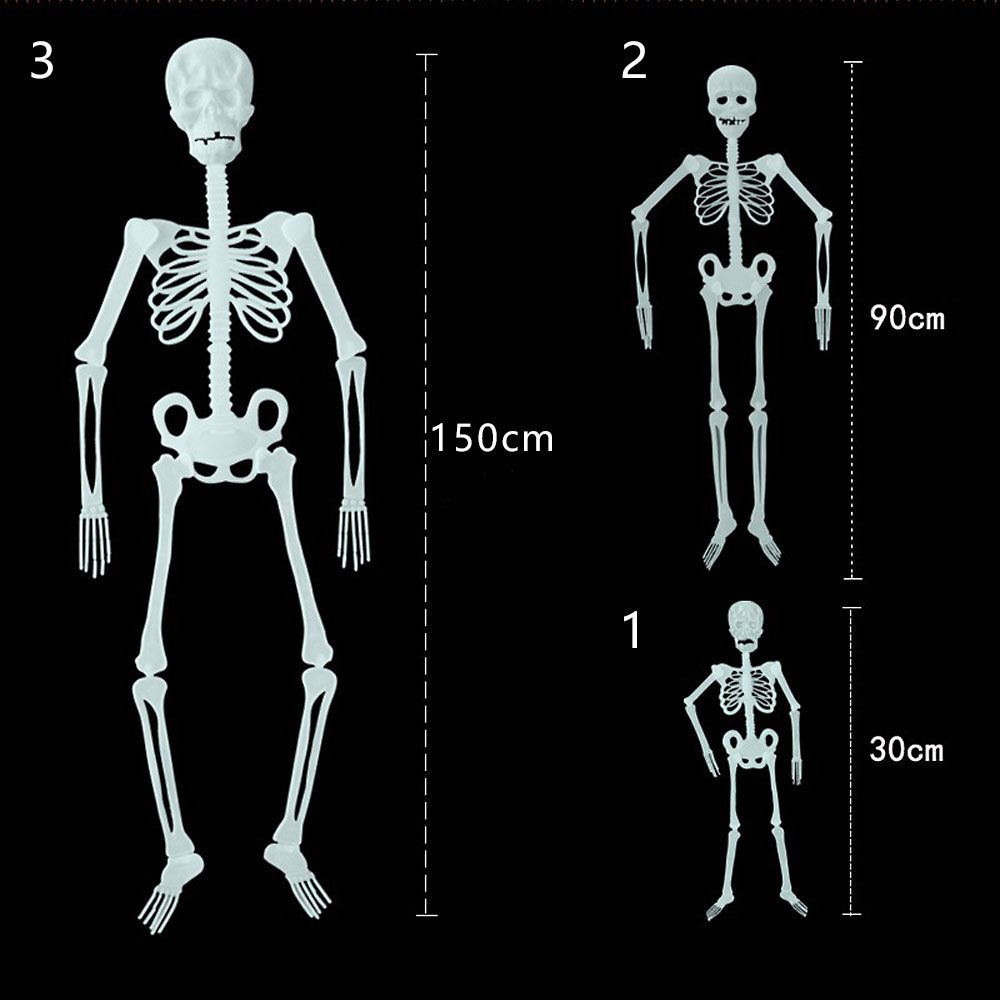 Mô hình bộ xương phát sáng trong bóng tối trang trí halloween DIY