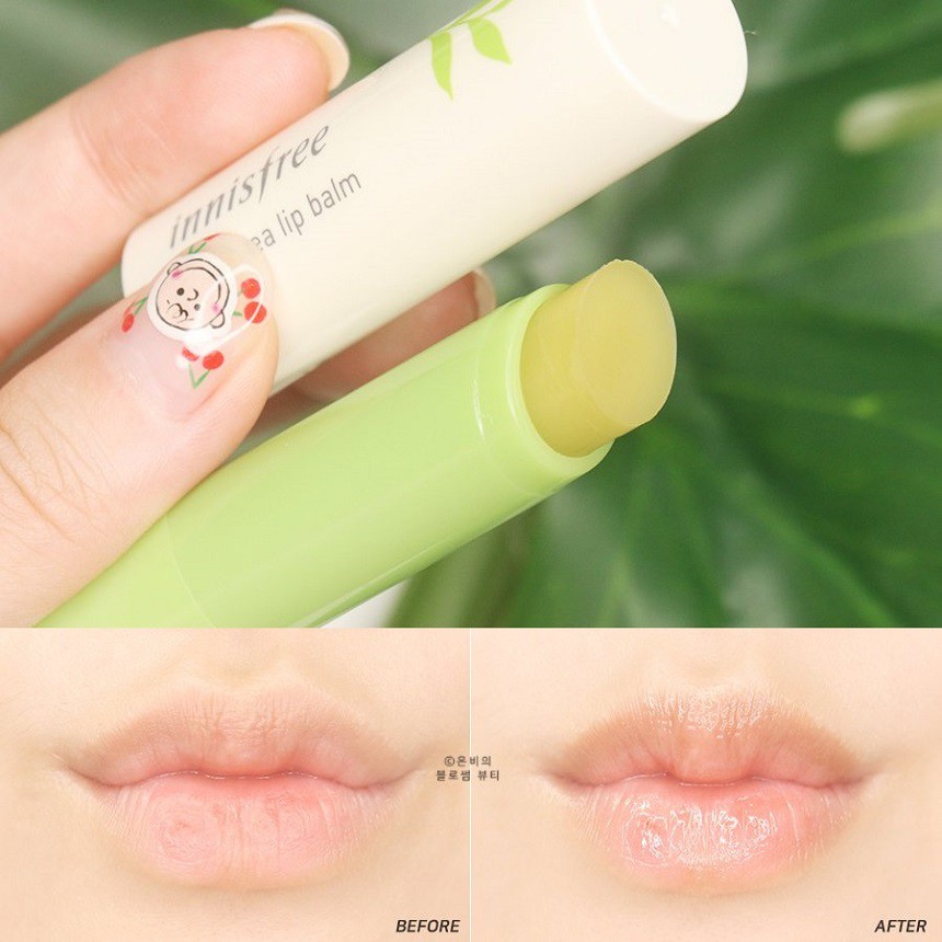 Son Dưỡng Môi Trà Xanh Innisfree Green Tea Lip Balm