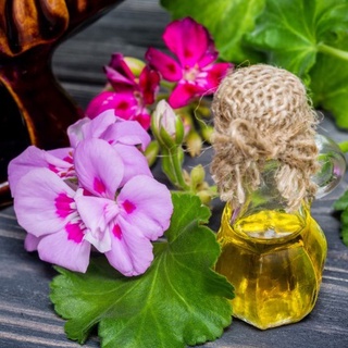 Tinh Dầu Phong Lữ Hữu Cơ ( Organic Geranium Essential Oil )
