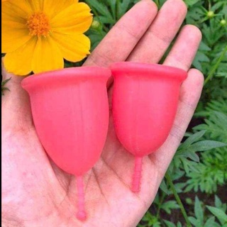Cốc nguyệt san Sibell thần thánh
