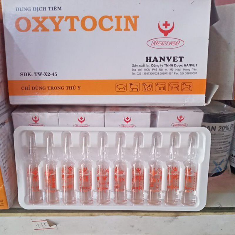1 ống OXYTOCIN kích đẻ cho chó mèo, lợn gà