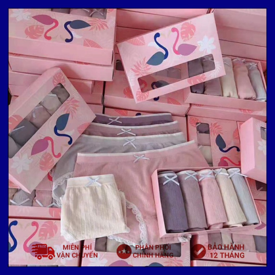 Quần Lót Cotton Thiên Nga Dễ Thương Co Giãn 4 Chiều Cao Cấp Kèm Hộp Sang Chảnh Dùng làm quà tặng