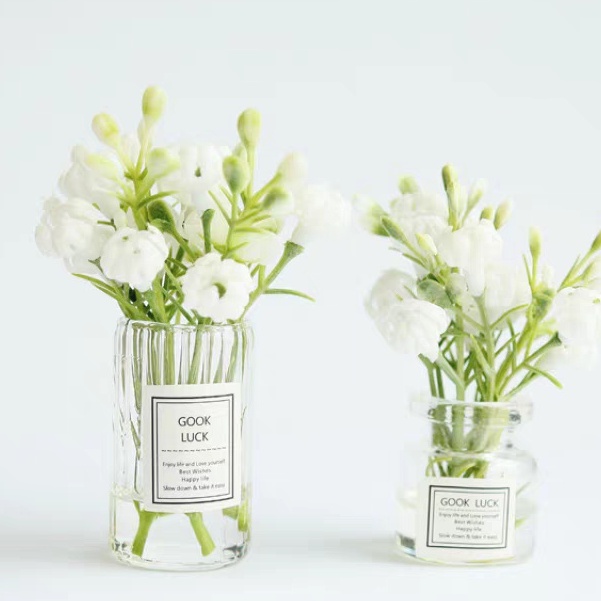 100g Cụm điểm hoa baby, cỏ điểm hoa baby