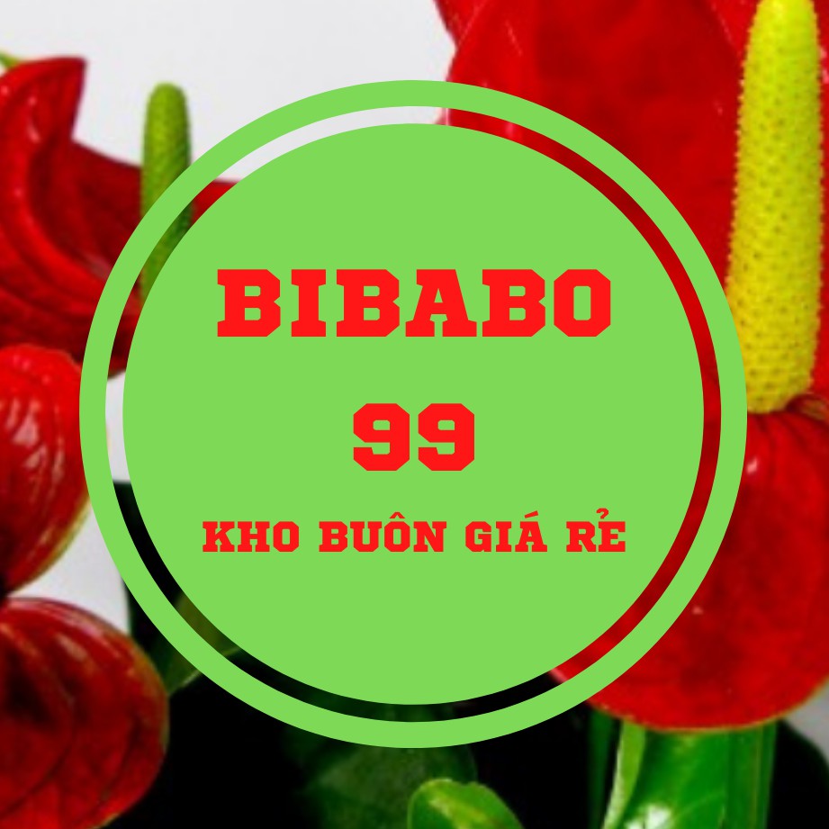 bibabo99_ kho buôn giá rẻ, Cửa hàng trực tuyến | BigBuy360 - bigbuy360.vn