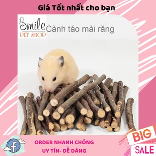 [GIÁ SỈ] Thức ăn Hamster - Cành táo mài răng cho hamster, thỏ, sóc, bọ - Smile Pet Shop