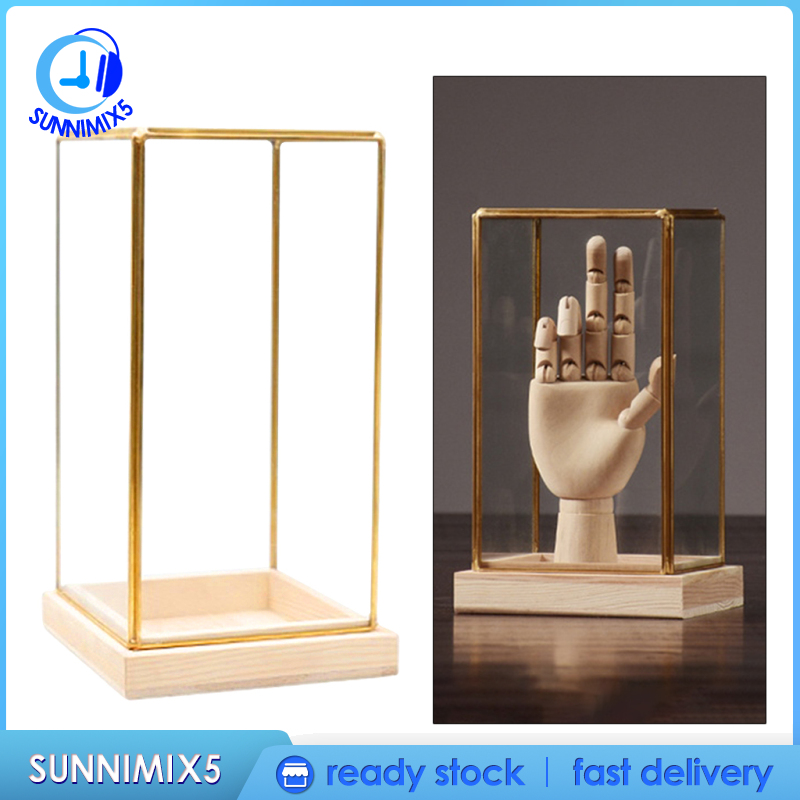 [Trend Technology]Glass Display Case Decorative Cuboid Antique Artwork Showcase Terrarium