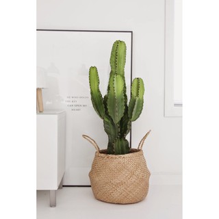 Giỏ cói đựng cây decor trang trí Size lớn