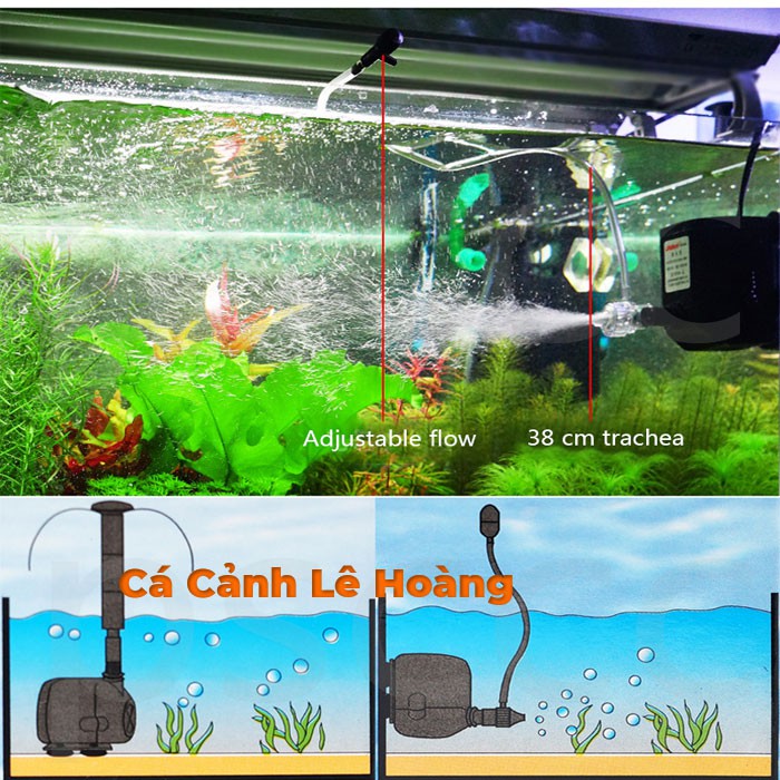 Máy bơm nước hồ cá Lifetech AP3500 50w đẩy cao 3m cho bể cá, trồng thủy canh, hệ thống aquaponics ....