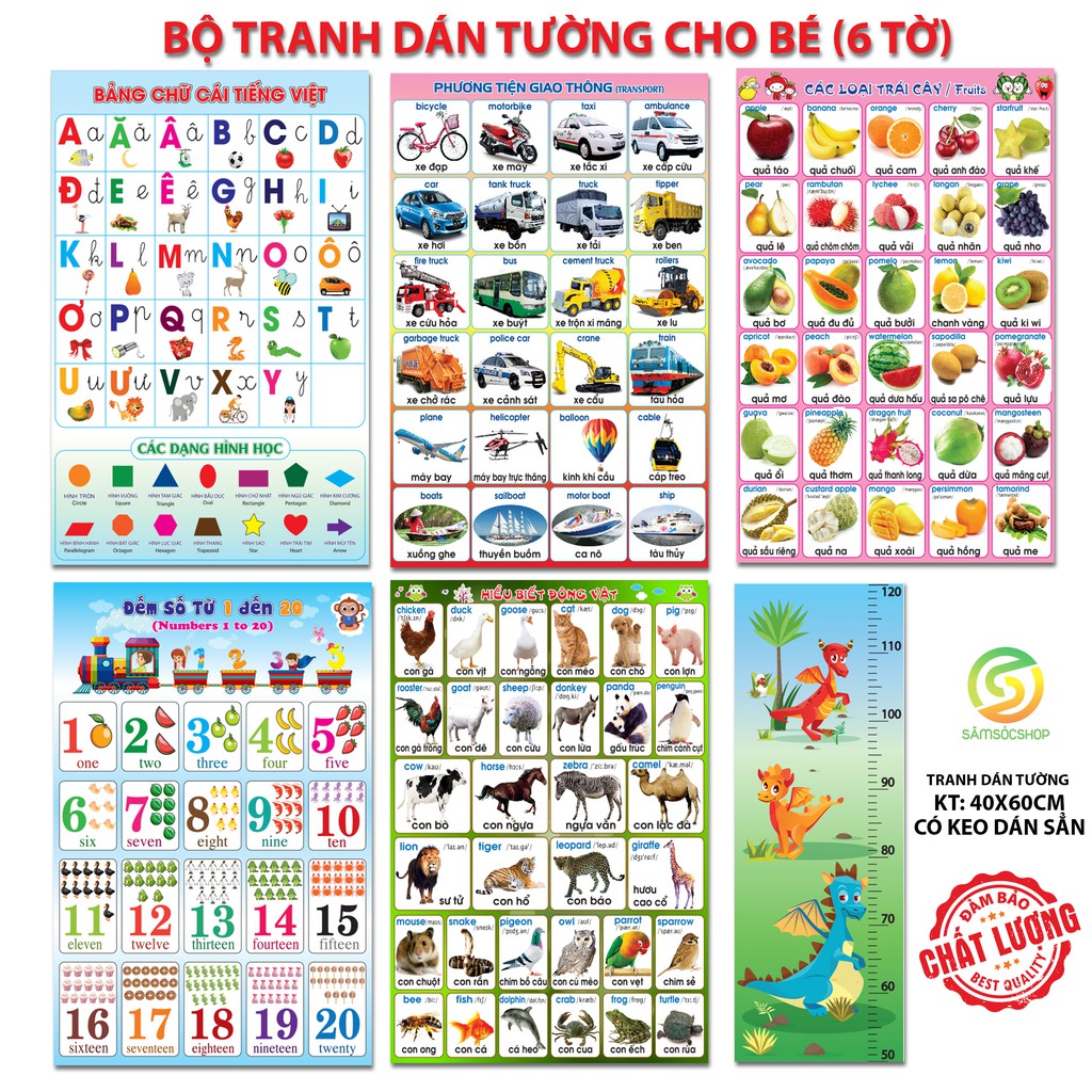 Bảng chữ cái dán tường,xe,trái cây,số...)40x60cm-tranh có keo sẳn-chất lượng